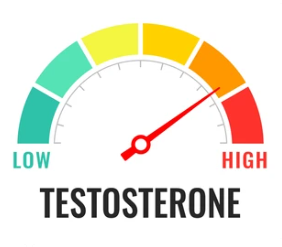 Low to High: How elevated testosterone levels can increase estrogen in men on TRT