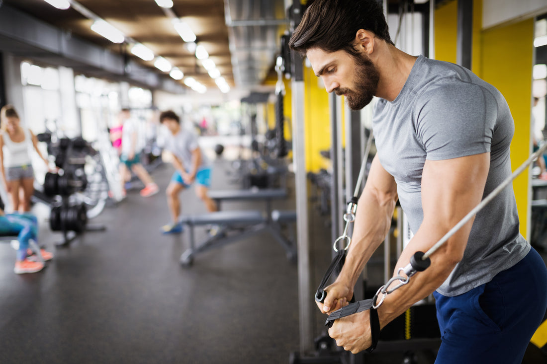 Beyond Testosterone: How Estrogen Shapes Men's Mood, Libido, and Performance