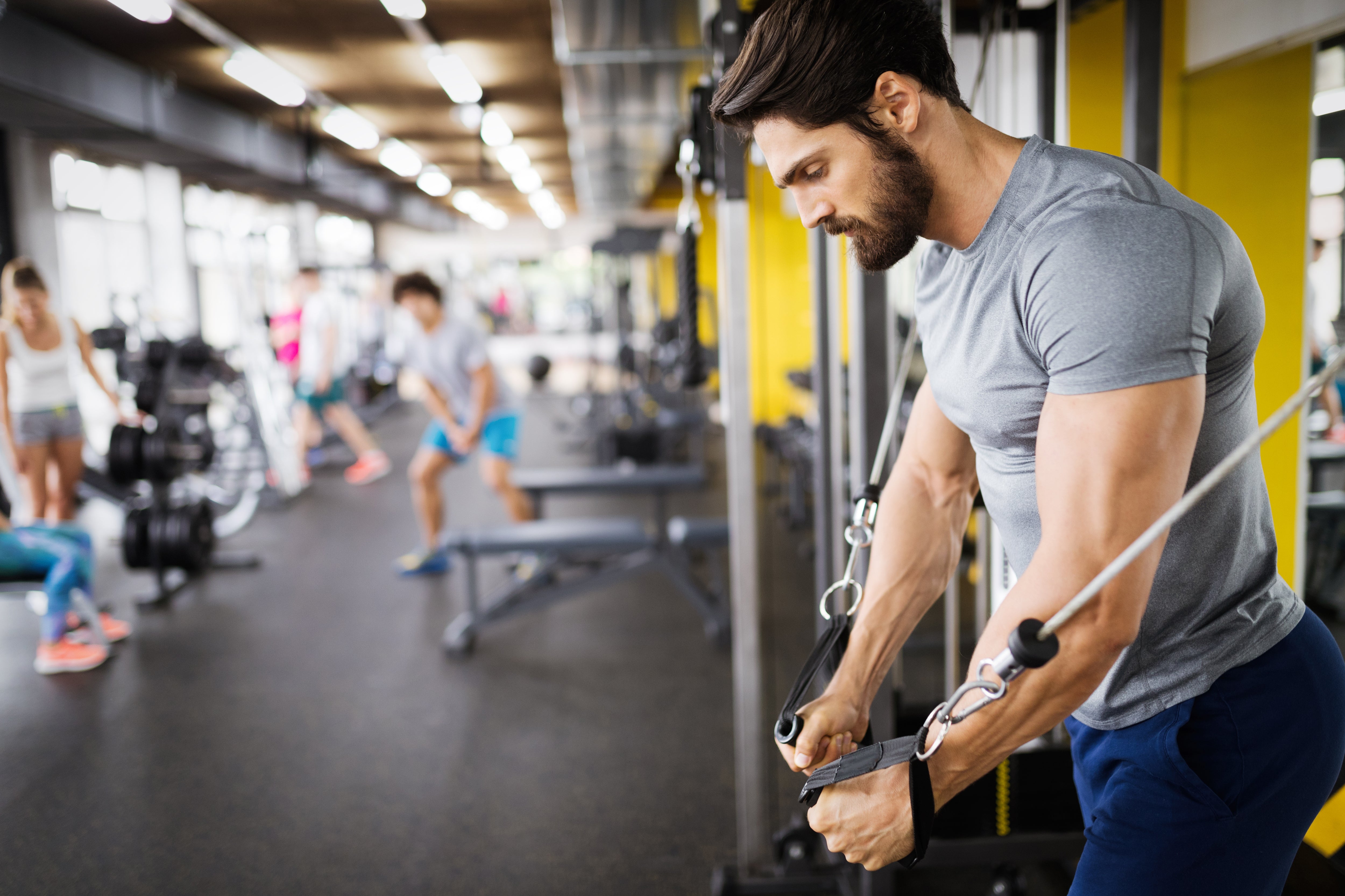 Beyond Testosterone: How Estrogen Shapes Men's Mood, Libido, and Performance